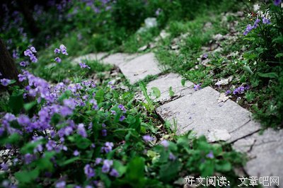 关于林晓名言名句