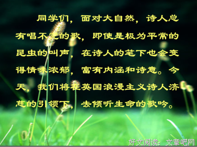 诗和夜