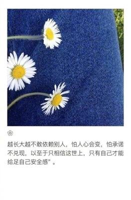 《如果可以》的句子