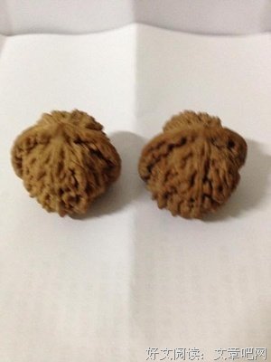 樱花殇*的句子