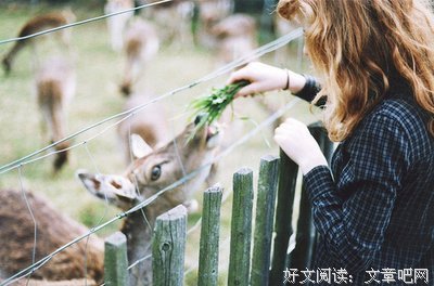 关于杂的句子