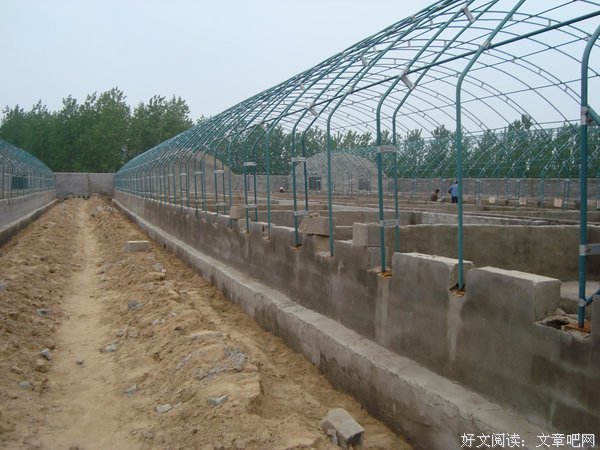 有关米炎凉名言