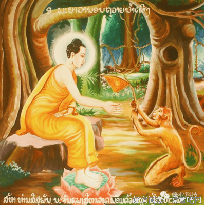 最全的花美腻的格言