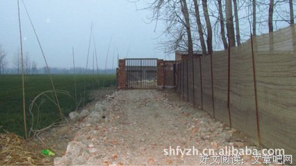 最全的柴鸡蛋名言大全