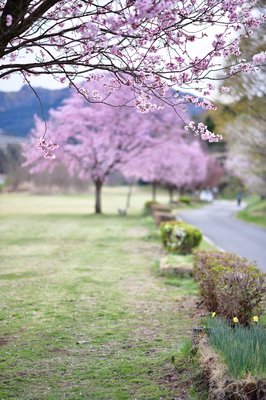 河川敷名言