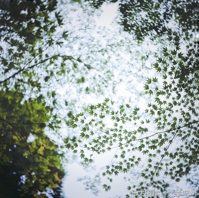 最新的《永不永不说再见》佳句摘抄