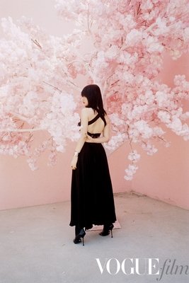 最新的《潇潇雨飞花溅泪》经典句子大全