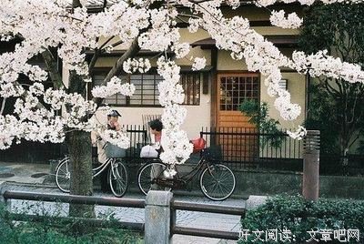 最经典的《网易云音乐评论》经典语句