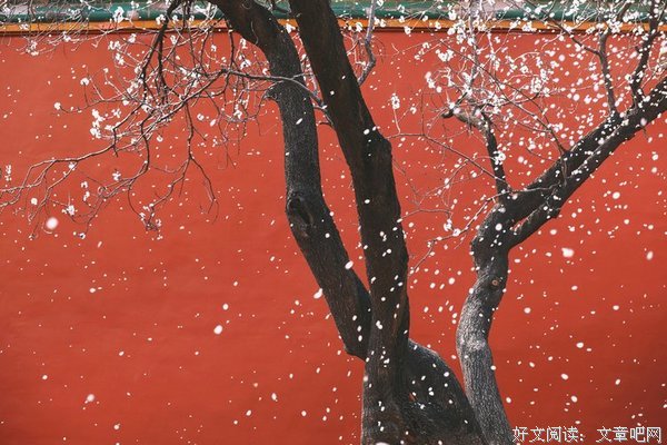 最经典的《落花时节又逢君》经典语句