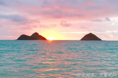 最经典的《那年那兔那些事》经典句子大全