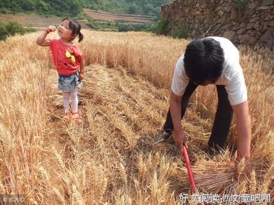 麦子·婚恋 | 当妈后，因为没钱，我成了间歇性神经病……