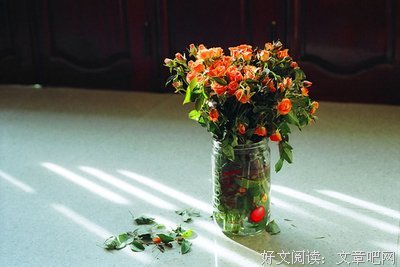 最全的《亿万老婆买一送一》名句欣赏