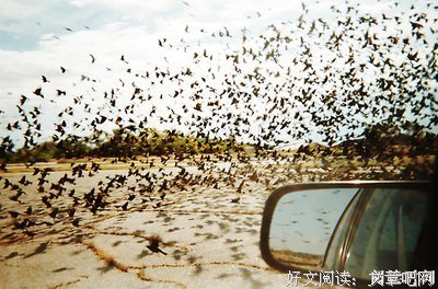 最经典的《我站在桥上看风景》经典语录