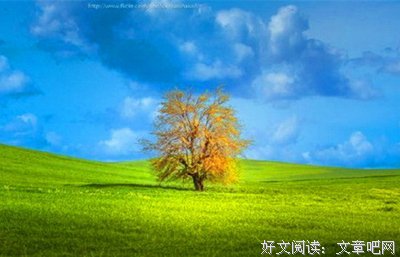 最全的《你只是看起来很努力》经典名句
