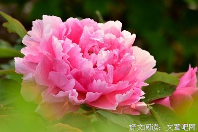 关于三朝的座右铭