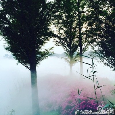 真实做人，才是一个人最高级的活法