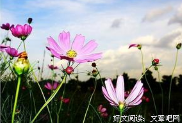有关过去的过去的句子