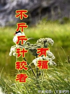 50岁以后，这6种人最有福，有你吗？