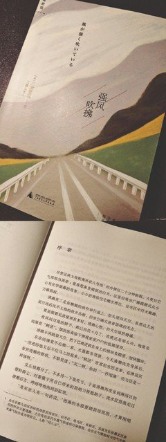 三浦紫苑名言大全
