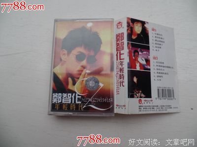 郑智化的名句
