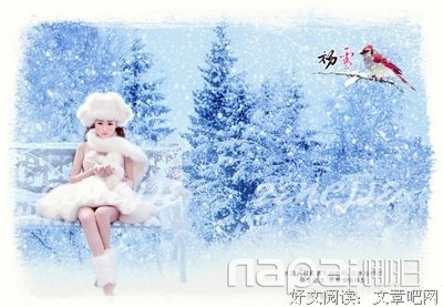 有关雪鸾歌的格言