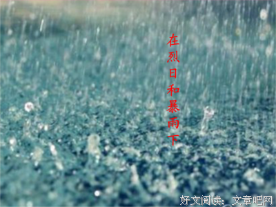 最全的《我在你的世界下落不明》经典句子