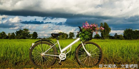 《致我们终将逝去的青春》小说句子