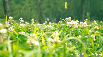 最新的《那些回不去的年少时光》小说摘抄