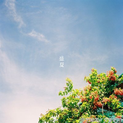 最新的《当我足够好，才会遇见你》经典语录大全