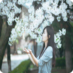 《在全国观众面前撒狗粮》小说书摘大全