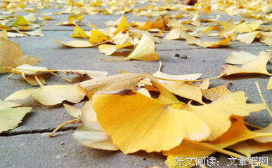 12星座谁最在乎别人感受？
