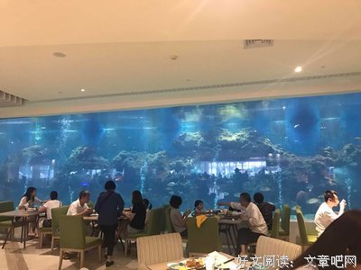孩子想要的自由，你真的敢给吗？