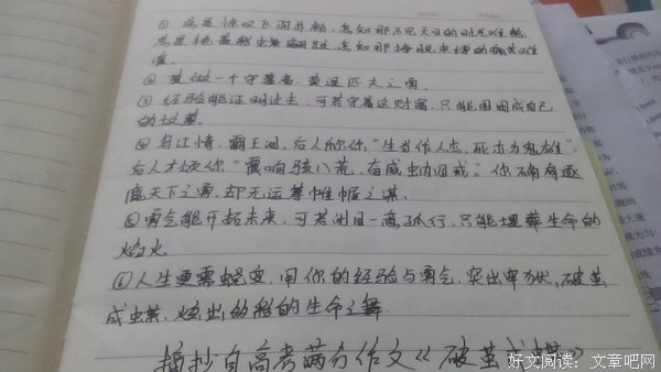 关于小说的优美句子