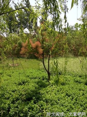征集 | 《都挺好》大结局了，但希望所有女性都能大声说出“我不好