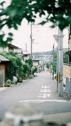 八月长安名言