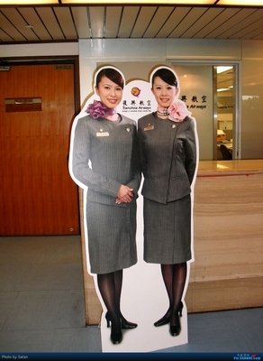 桃园野菊名言