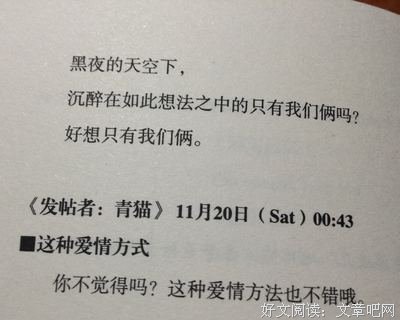 关于岩井俊二的名句
