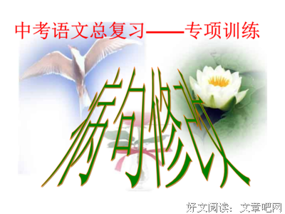 最新的《羊与钢的森方》经典句子