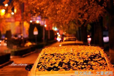 关于智者见智的语句
