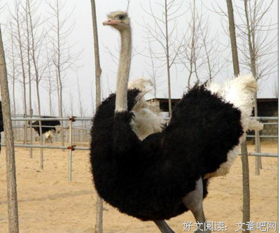 中年小姐姐旅行记1：人生就是不断打脸的过程啊