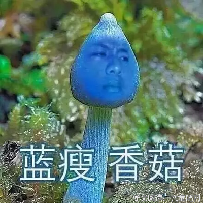 小哥句子大全
