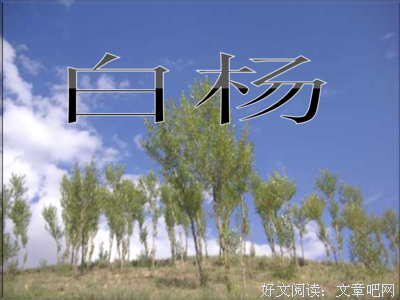 夏样天句子
