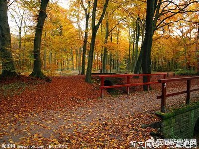 《高山流水》的句子