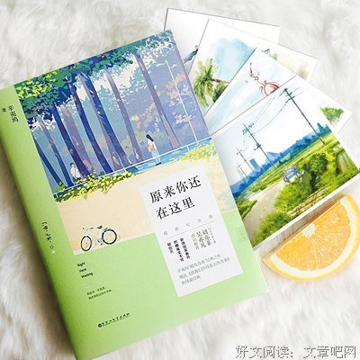 青春暖伤的优美句子