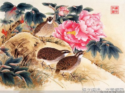 不错的句子