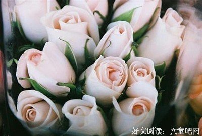 2018野象小姐的名言名句
