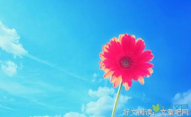 斯蒂芬·金经典名句
