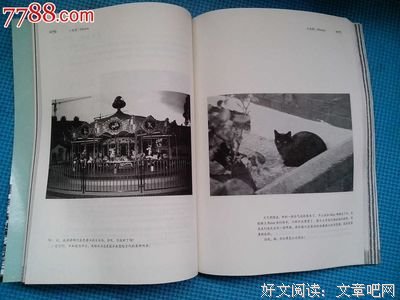 有书快看 | 孤独有时候丑陋，有时候美得不可方物