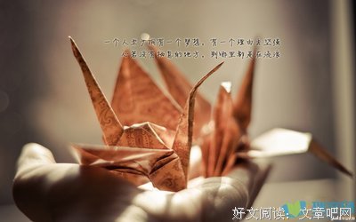 关于流浪的蛤蟆经典名句