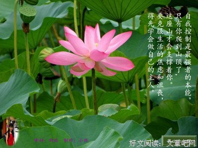 最经典的《重新发现自我》名句欣赏大全